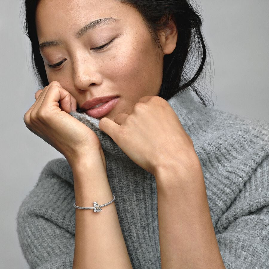 100th Anniversary Winnie the Pooh Charm