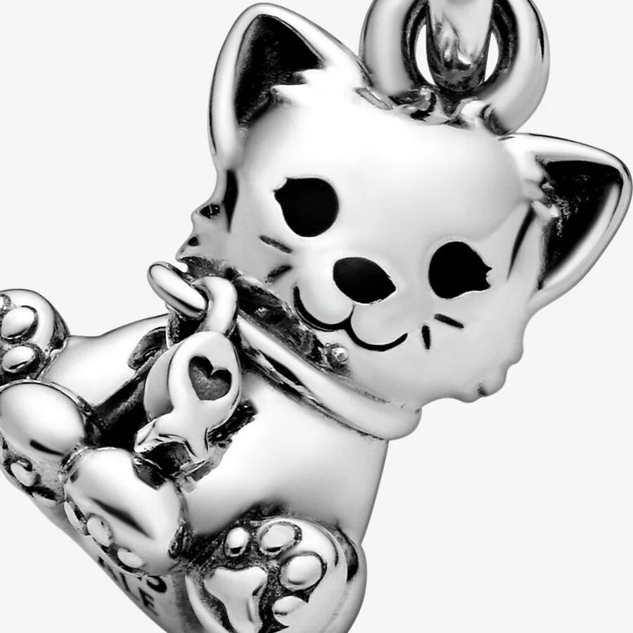 Kitten Charm