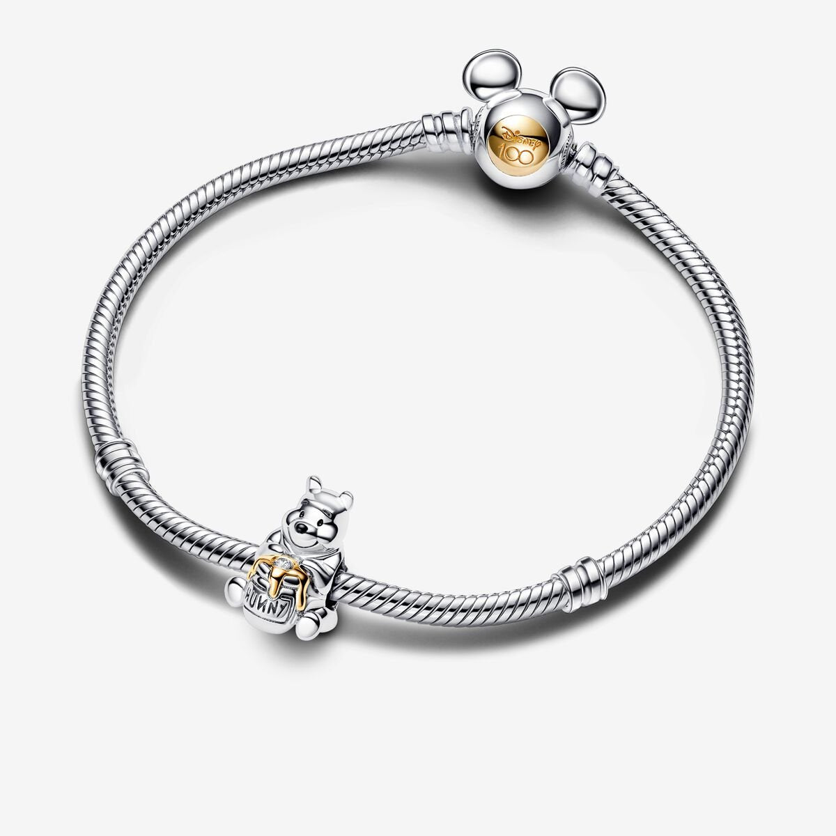 100th Anniversary Winnie the Pooh Charm