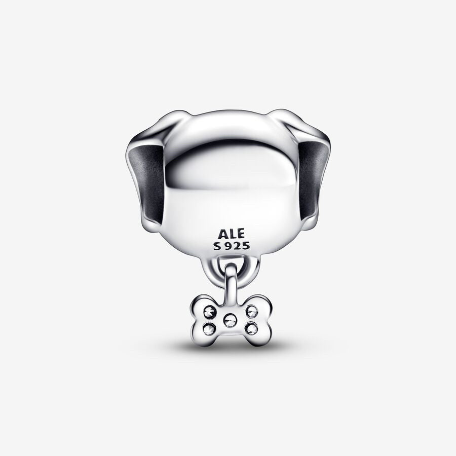 Dog and Bone Charm