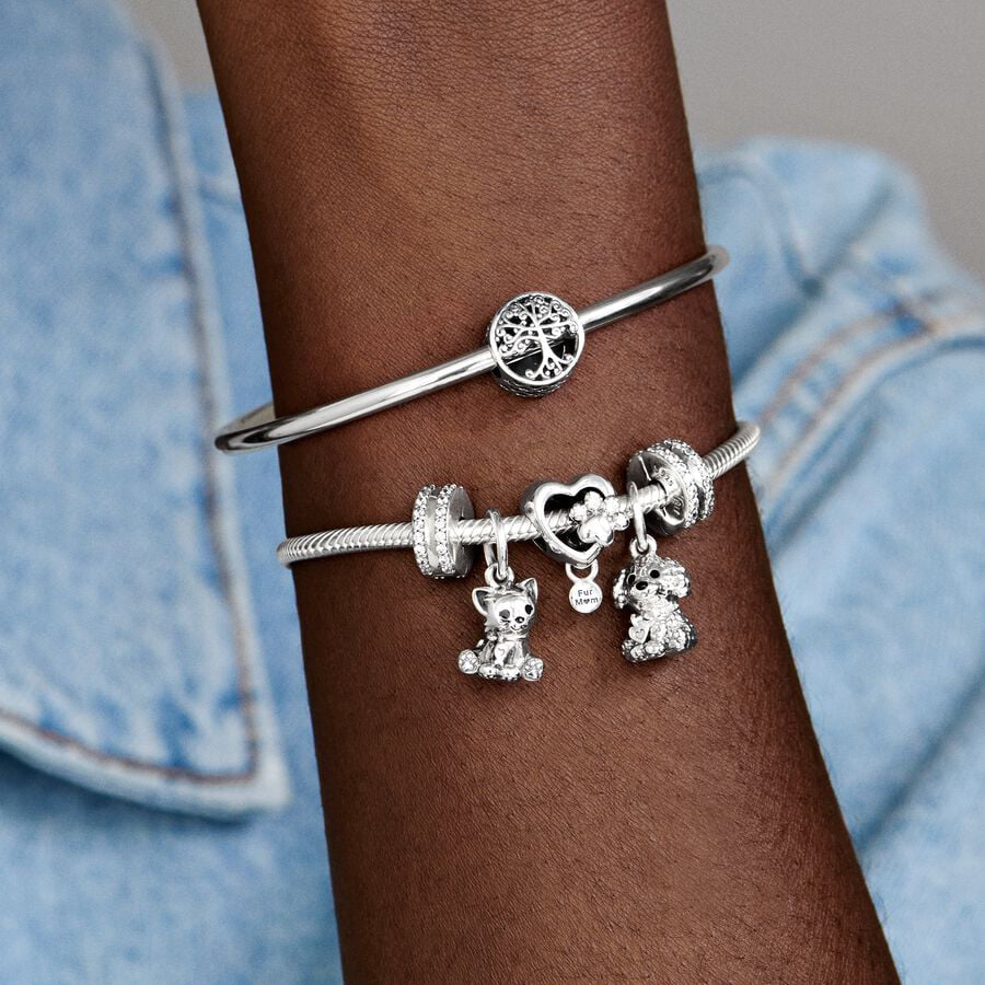 Kitten Charm