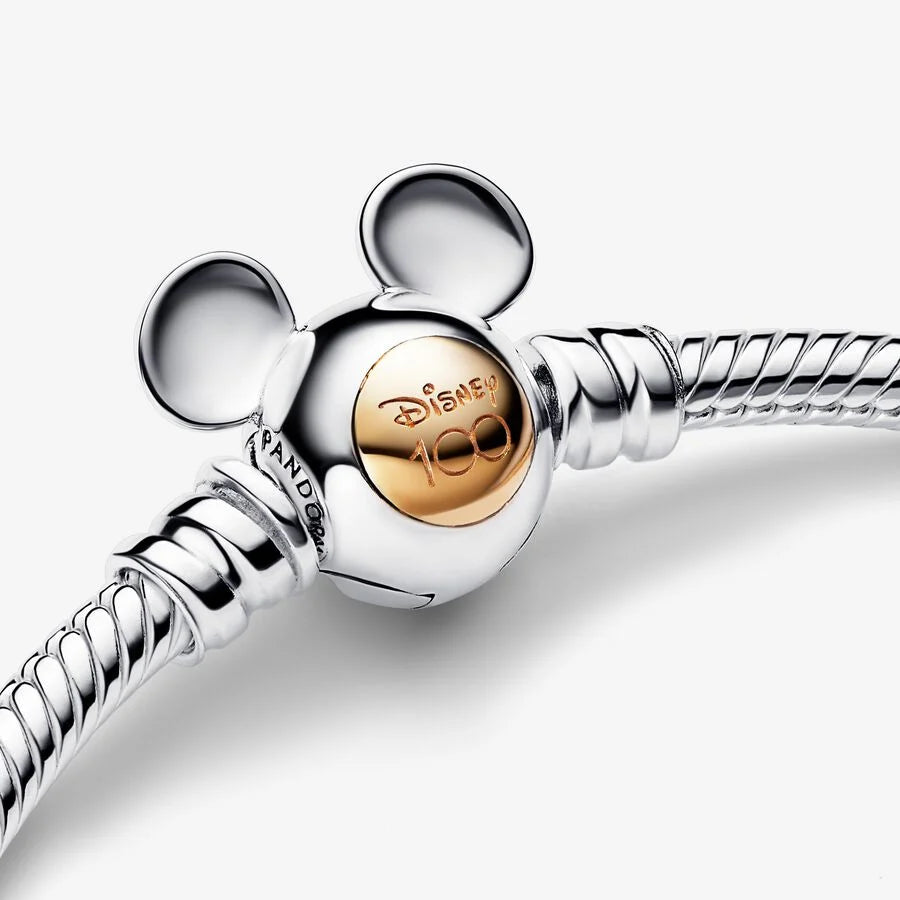 100th Anniversary Bracelet & 9 Charm Set