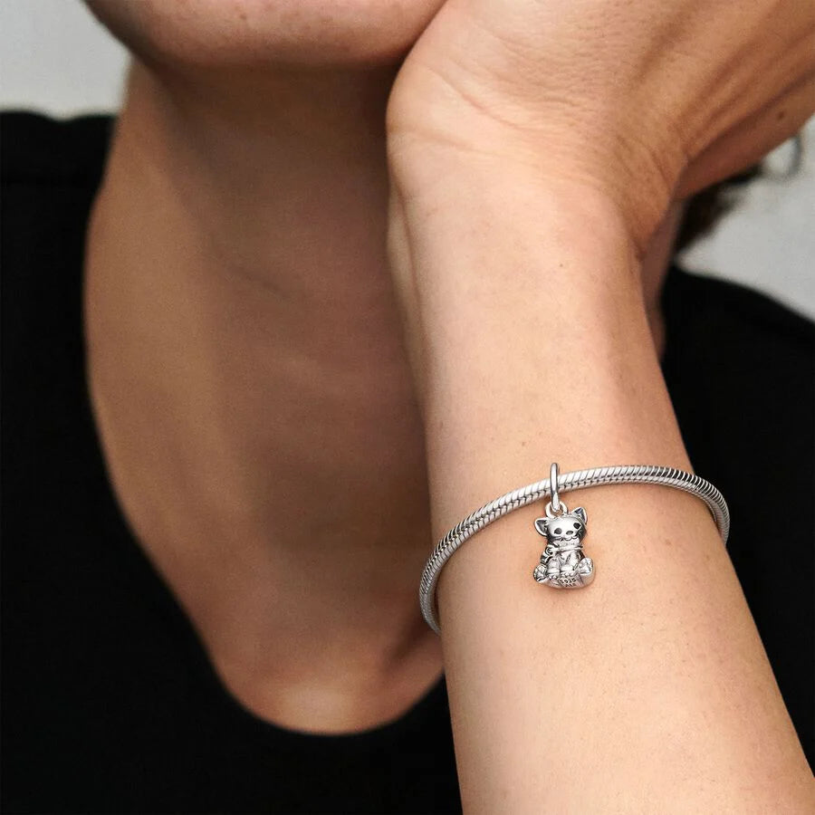 Kitten Charm
