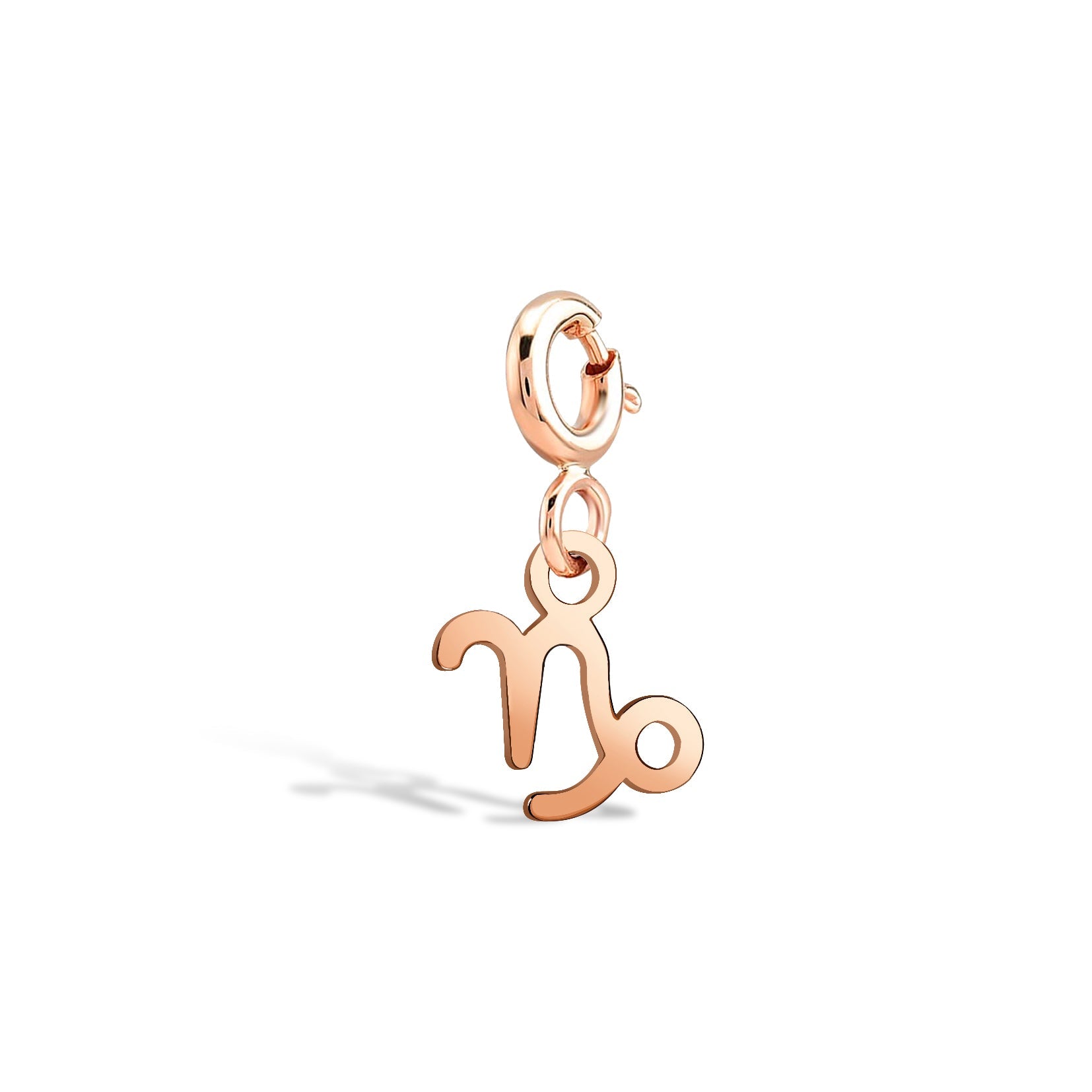 Capricorn Capricorn Gold Charm