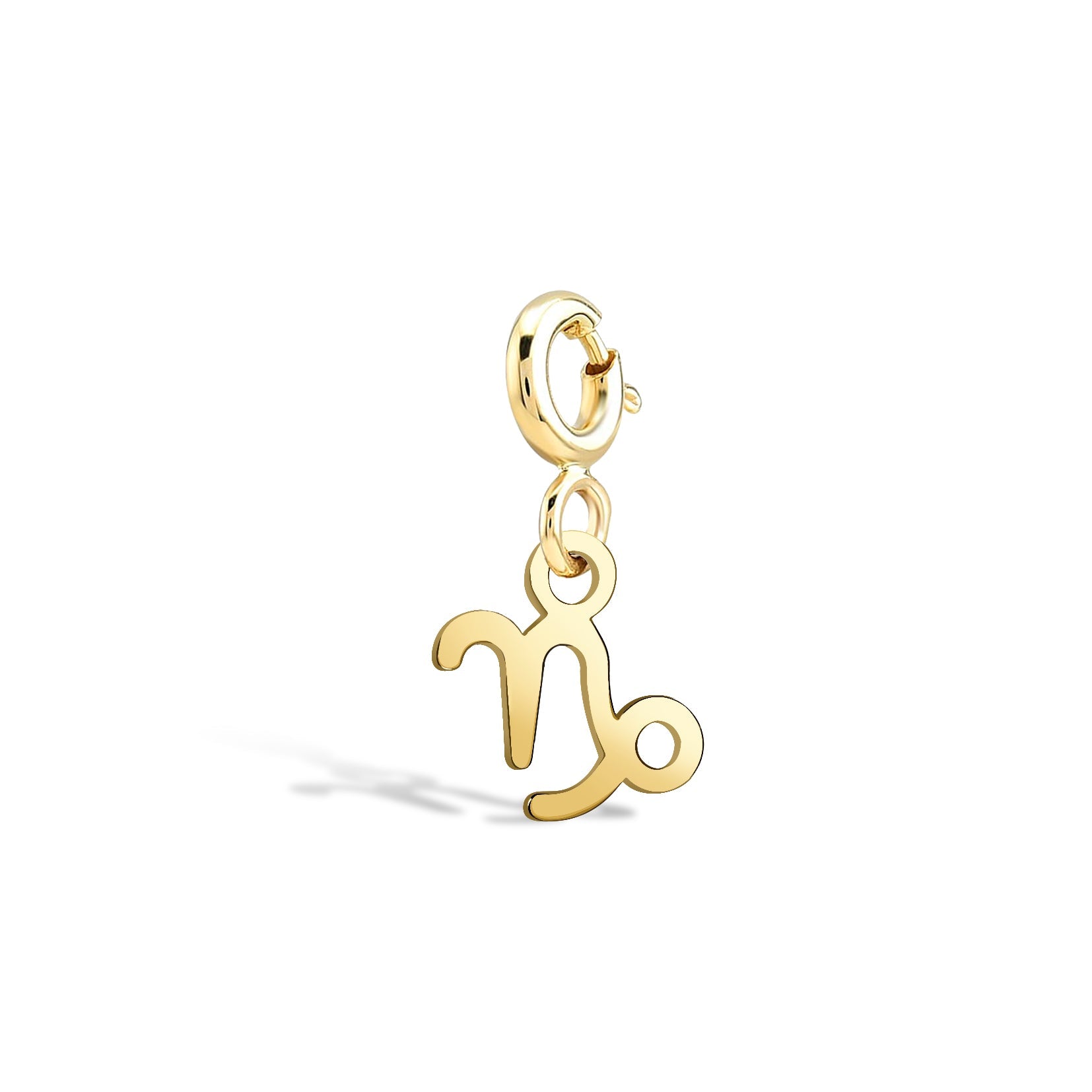 Capricorn Capricorn Gold Charm