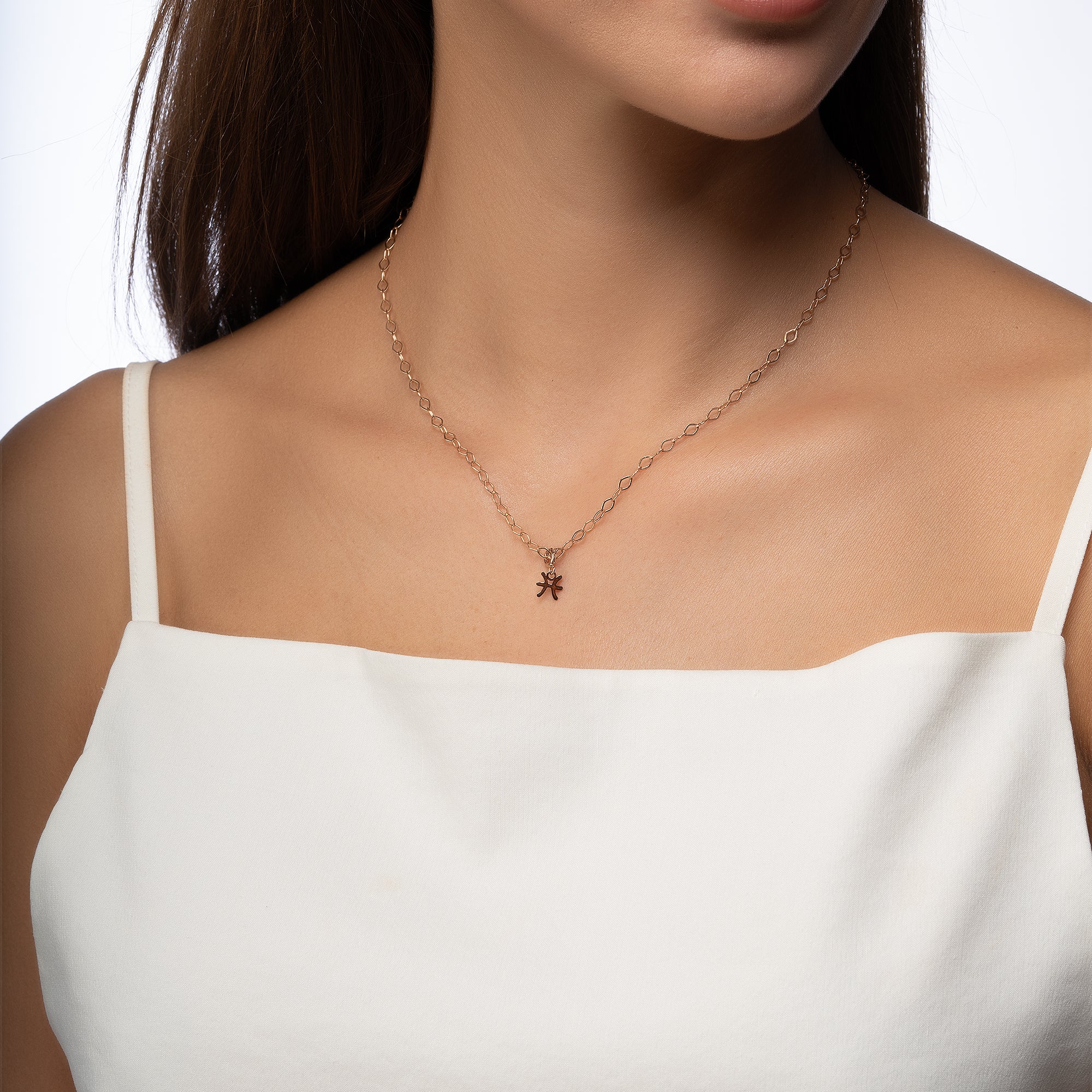 Pisces Pisces Gold Charm