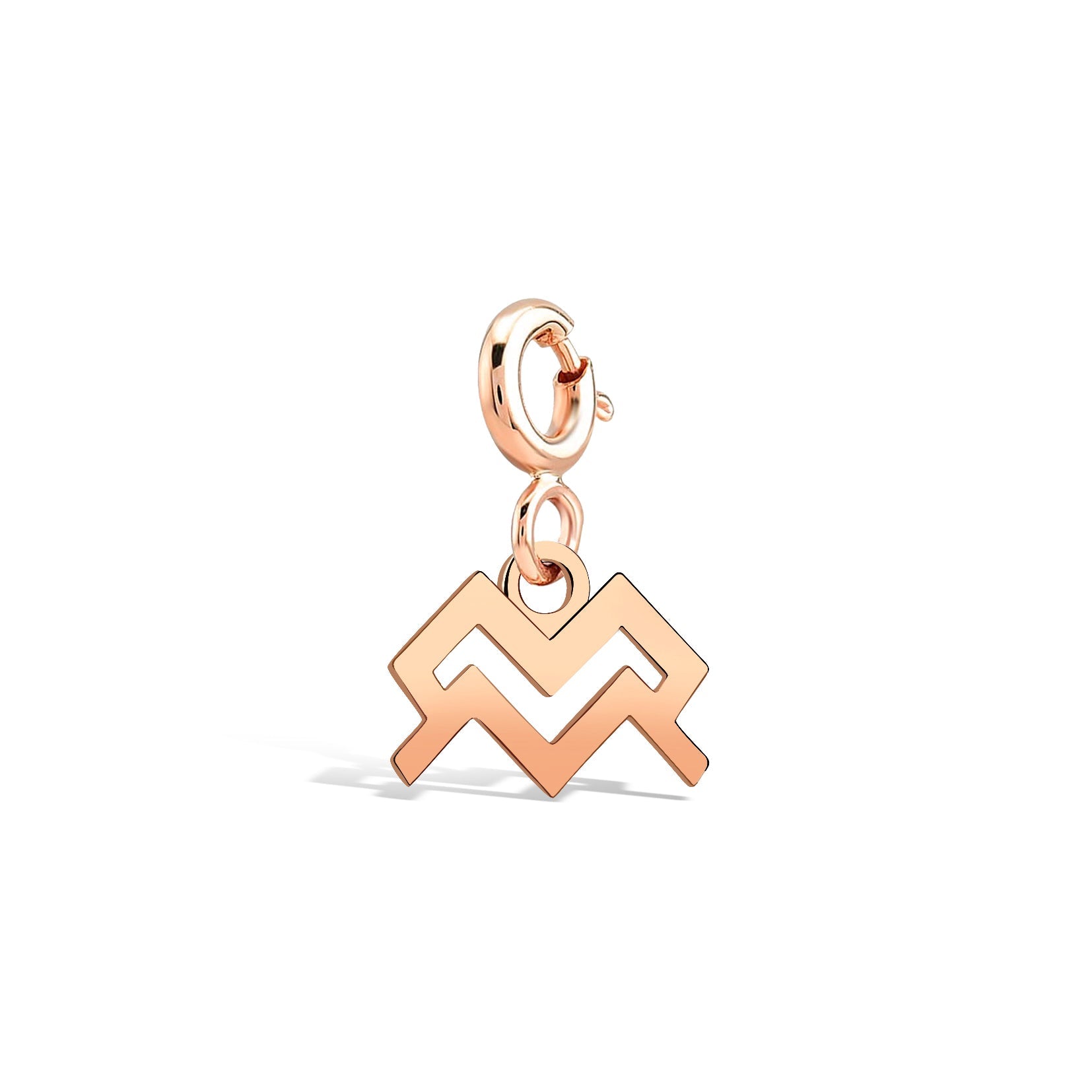 Aquarius Aquarius Gold Charm