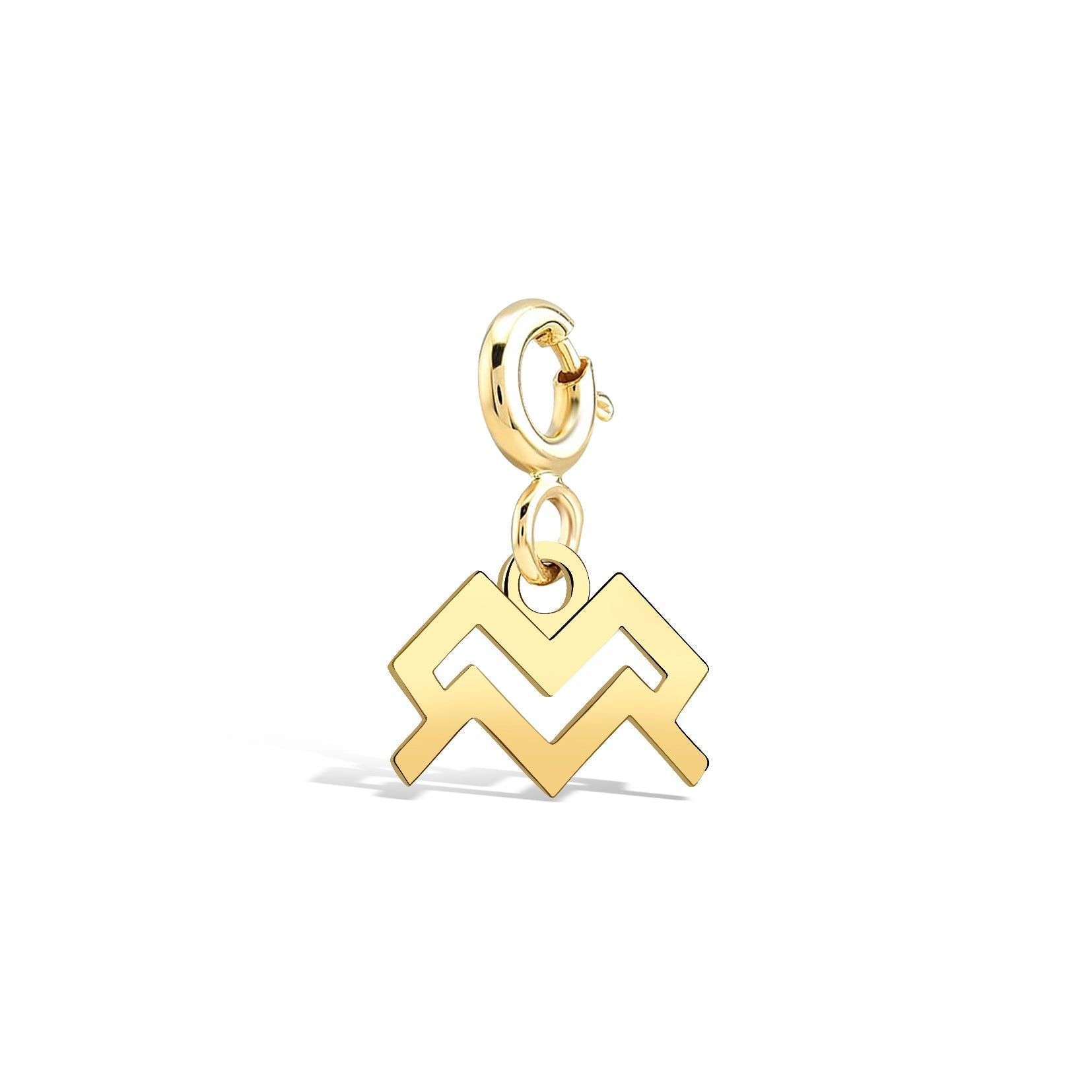 Aquarius Aquarius Gold Charm