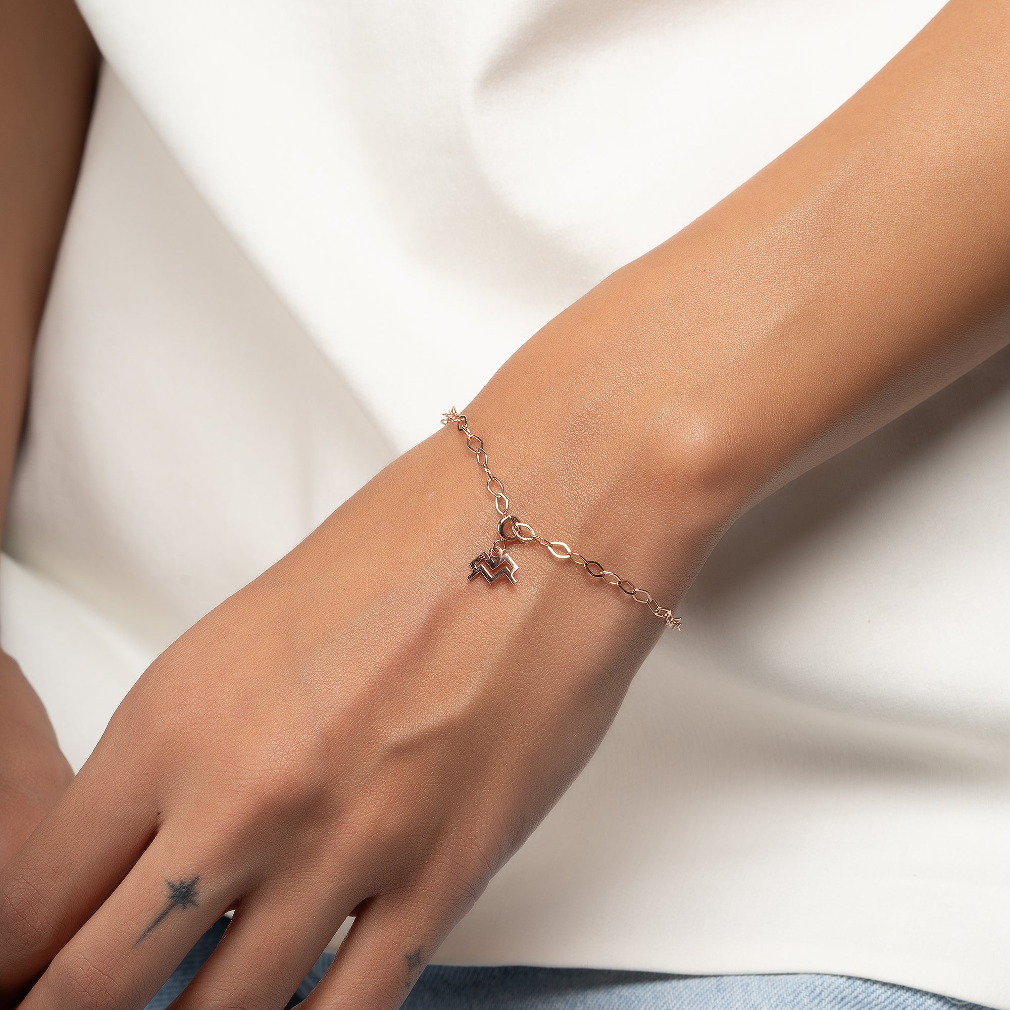 Aquarius Aquarius Gold Charm