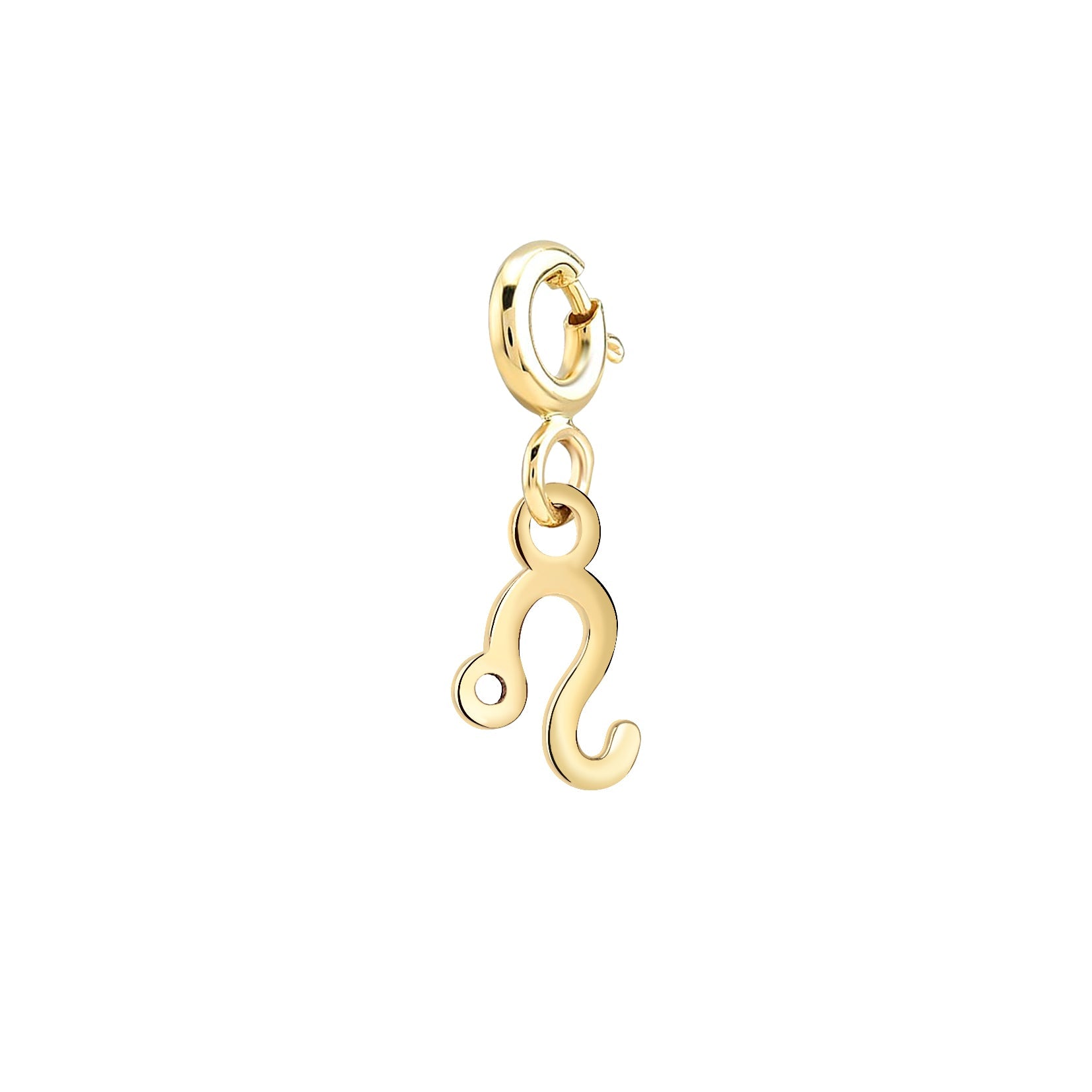 Leo Gold Charm